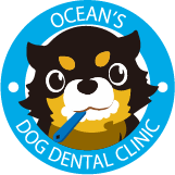 犬の歯医者さんコンセプト03画像