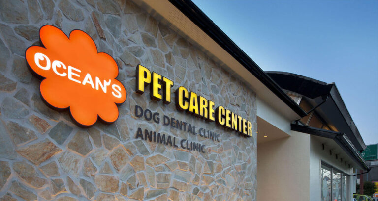 犬の歯医者さん｜OCEAN'S DOG DENTAL CLINIC